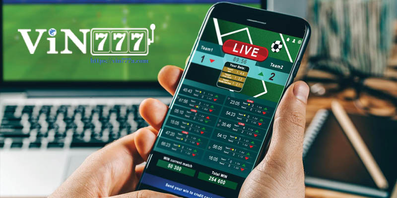 Các quy định chi tiết cá cược có trách nhiệm tại địa chỉ Vin777 