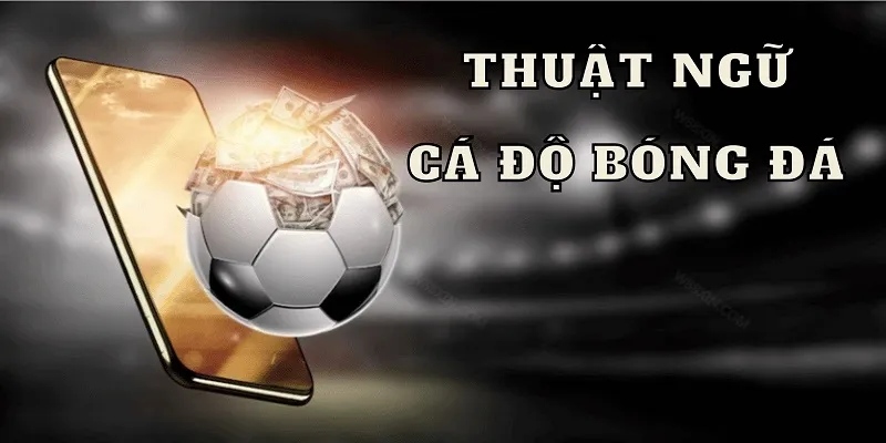Tìm Hiểu Các Thuật Ngữ Cá Độ Bóng Đá Quan Trọng Nhất 1 thuat ngu ca do bong da 1